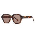 Lunettes de soleil rétro en écaille avec rivets argentés à trois points décoratifs - Monture Léopard / Verres Thé