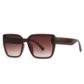 Modern oversized square sunglasses featuring dark brown frames and gradient lenses - Tea Frame Double Tea Lenses