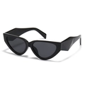 Occhiali da sole cat-eye moderni neri lucidi con stanghette geometriche spesse su bianco - Montatura Nera Lenti Grigio Nero
