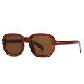 Moderne vierkante zonnebril in schildpadstijl met bruin montuur en gouden accenten - Thee / Thee
