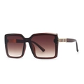 Retro square oversized sunglasses with brown gradient lenses and gold striped temples - Tan Frame Double Tan Gradient Lens