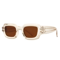 Gafas de sol cuadradas modernas con montura champagne transparente y lentes marrones - Montura Té Transparente Lentes Té (C5 Té Transparente)