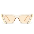 Gafas de sol modernas cat-eye con montura champán transparente y detalles dorados - Marco de Champaña Lente de Té Claro
