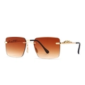 Lunettes de soleil sans monture à dessus plat avec branches dorées design léopard - C5 Or Double Marron