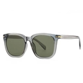 Translucent grey square sunglasses with dark green lenses and gold arrow metal detail - C4 Gray / Green