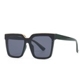Occhiali da sole cat-eye squadrati neri con barra in metallo dorato e lenti scure - Verde/Nero Grigio (C4)