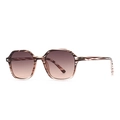Gafas de sol hexagonales retro con montura marrón a rayas y lentes degradadas - Montura Marrón a Rayas Lentes Degradados Rosa Fuerte (C2)