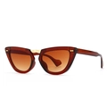 Occhiali da sole moderni cat eye con montatura marrone trasparente e lenti arancioni - Marrone Doppio Marrone