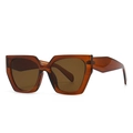 Lunettes de soleil polygone ambre moderne avec monture épaisse en acétate et verres bruns - Thé Double Thé