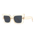 Moderne Cat-Eye-Sonnenbrille in champagnerfarbenem Bernsteinrahmen mit dunklen Gläsern - Transparenter champagnerfarbener Rahmen mit dunkelgrauen Gläsern (C5 Gelb Schwarz Grau)