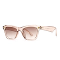 Modern retro square sunglasses with light brown transparent frame and gradient lenses - Transparent Pink Gradient Tea