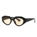 Occhiali da sole retrò poligonali con montatura nera e lenti gialle trasparenti stile moderno - Montatura Nera Lente Tan Chiaro (C3)