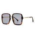 Lunettes de soleil rétro à monture écaillée avec branches en métal doré - C6 Imprimé Léopard Verre Gris (C6 Léopard Gris)
