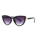 Modern cat-eye sunglasses with purple gradient lenses and black frame on white background - Black Double Gray