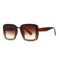 Quadratische Sonnenbrille mit braunen Verlaufsgläsern und goldfarbenem Glitzerrahmen - Tan Double Tan (Goldsand-Prozess)