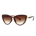 Modern cat eye sunglasses featuring dark brown frames with tea-colored gradient lenses - Tea Double Tea