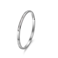 Detail of silver titanium steel bangle with square zircon pavé setting and hinge clasp - Steel Color (33-D-7)