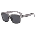 Gafas de sol polarizadas para hombre con doble puente y montura de resina gris clásica - Montura gris translúcida Lente gris