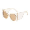 Fashion wide temple cat eye sunglasses in transparent champagne frame and brown lenses - Champagne Frame Black Gray Lens