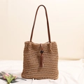 Light coffee woven shoulder bag with chic fringe tassels and leather straps for beach holidays - Brown