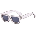 Gafas de sol rectangulares retro grises SN3022 con montura gruesa translúcida y estilo - Gris Transparente C04