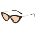 Retro black cat-eye sunglasses with golden metal temples and light brown lenses - Gloss Black Frame / Light Tea Lens (C02)