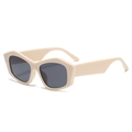 Occhiali da sole beige irregolari con lenti grigio scuro in stile retrò cat-eye alla moda - Beige