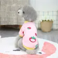 Pink pet sweater with strawberry print and yellow ribbed edges for small dogs - Pink Strawberry