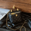 Elegant black quilted vanity case with golden camellia motif and chain strap - Small / Black