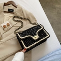 Elegant black and white sequin chain bag with woven border on light brown suit - Small / Black