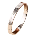 Dettaglio del bracciale in acciaio inossidabile oro rosa con stelle in zircone e motivi croce - Colore Acciaio (39乙-C-1)