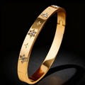 Bracciale rigido in acciaio al titanio da donna con ciondoli a stella d'oro e zirconi - Oro (39乙-C-2)