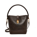 Borsa a secchiello vintage marrone scuro con chiusura dorata e manico elegante su bianco - Grande / Marrone