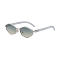 Polygon silver metal sunglasses with gradient blue lenses and transparent grey temples - Silver Frame Green Brown (C6)