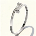 Elegante zilveren nagelarmband voor dames van gepolijst staal met micro-ingelegde stenen - Zilveren Dubbele Hart Stijl (43乙-A-1)