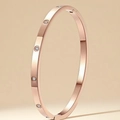 Rose gold plated stainless steel bangle featuring embedded circular crystals with brushed finish - Rose Gold 4mm Ten Stones Brushed Style