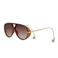 Gafas de sol aviador clásicas en carey con lentes degradadas marrones y patillas doradas - C4 Carey / Marrón