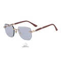 Frameless photochromic sunglasses with blue lenses and dark wood grain temples for men - Gold Frame Light Gray to Gray (C1)