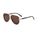 Klassieke aviator zonnebril met schildpadmontuur, gouden details en bruine glazen - Schildpad Goud Frame Bruine Lens