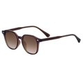 Gafas de sol retro con montura marrón translúcida y lentes degradadas, vista de 45 grados - C6 Montura Marrón Oscuro Transparente Lentes Doble Marrón