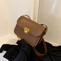 Classic brown matte leather underarm bag with vintage gold rectangular lock and strap - Brown