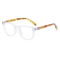 Occhiali quadrati con montatura trasparente e stanghette tartarugate - Argento Trasparente (C8-1)