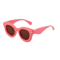 Occhiali da sole cat-eye rosa alla moda con lenti marroni e dettagli dorati - Montatura Rosa Lenti Marroni (C8)