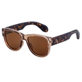 Gafas de sol cuadradas retro con montura transparente té y patillas de carey - Té Claro Transparente Patilla Carey (C6)