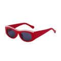Fashionable red cat eye sunglasses with silver trim and wide temples for UV protection - Big Red Silver Grey