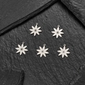 Lot de cinq breloques en acier inoxydable en forme d'étoile pour la création de bijoux DIY - Style Floral Étoilé (629) / 5 Pièces / Acier