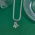 Polished silver stainless steel necklace with letter W crown pendant on green backdrop - Letter W