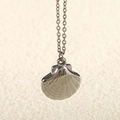 Macro view of polished silver shell pendant with detailed O-chain necklace - Shell / Steel