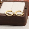 Elegant gold titanium hoop earrings with sparkling zircon inlays for a luxurious look - Round Thin Single Layer Zirconia Huggie / Large