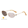 Gafas de sol ovaladas sin montura fotocromáticas con patillas de metal con cabeza de leopardo - Montura Dorada/Lentes de Marrón Claro a Marrón (C2)